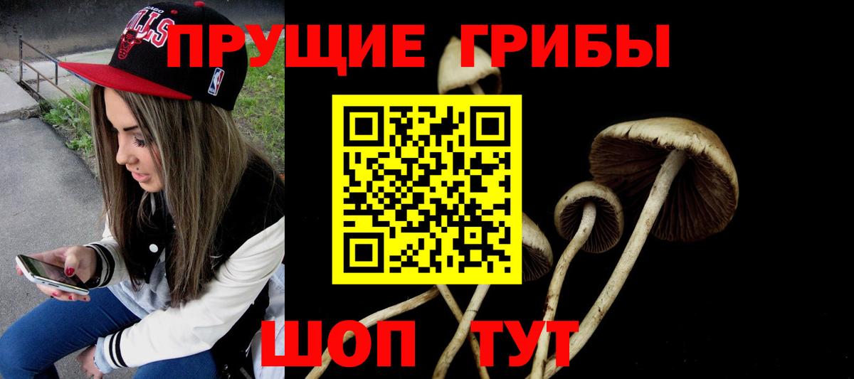 Псилоцибиновые грибы MAGIC MUSHROOMS  Галлюциногенные грибы Magic Shrooms  Вход с VPN  Оренбург 